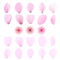 Realistic pink sakura petals icon set. Cherry petals