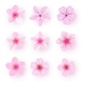 Realistic pink sakura petals icon set. Cherry petals Royalty Free Stock Photo