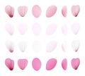 Realistic pink sakura petals icon set. Gradient mesh 3d cherry petals. Vector illustration Royalty Free Stock Photo