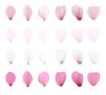 Realistic pink sakura petals icon set. Gradient mesh 3d cherry petals. Vector illustration Royalty Free Stock Photo