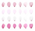 Realistic pink sakura petals icon set. Gradient mesh 3d cherry petals. Vector illustration Royalty Free Stock Photo