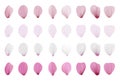 Realistic pink sakura petals icon set Royalty Free Stock Photo