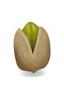 Realistic pistachio illustration, front of one cashew