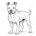 Realistic Pit Bull Dog Coloring Page For Kids Royalty Free Stock Photo