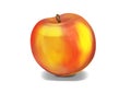 Realistic, plain nectarine illustration, front of one fruit