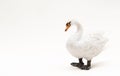 Realistic plastic toy swan white