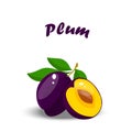 Realistic plum whole and slice