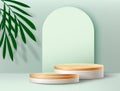 Realistic podium background. 3D studio platform for product display. Minimalistic stage and palm leaves. Render