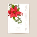 Realistic Poinsettia 3d Flowers Winter Card, Merry Christmas Vector Greetings. New Year Holiday Party Invitation