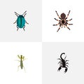 Realistic Poisonous, Grasshopper, Tarantula And Other Vector Elements. Set Of Bug Realistic Symbols Also Includes Locust