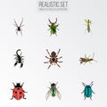 Realistic Poisonous, Housefly, Locust And Other Vector Elements. Set Of Insect Realistic Symbols Also Includes Tarantula