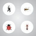Realistic Poisonous, Ladybird, Emmet And Other Vector Elements. Set Of Bug Realistic Symbols Also Includes Poisonous