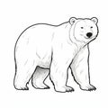 Realistic Polar Bear Drawings And Vector Images Library