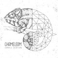 Realistic and polygonal chameleon illustration. Triangle animal illustration