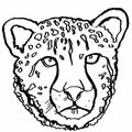 Realistic portraiit cheetah and white background and drawing Royalty Free Stock Photo