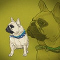 Realistic portrait of a French white bulldog isolated on a green background. Black mask. Hand drawn cute house pet