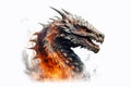 Realistic portrait of gray scary dragon in flames. Year of the Dragon.