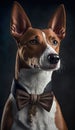 Realistic Portrait Illustration Art Showcasing Cute Basenji wearing bow tie (Generative AI) Royalty Free Stock Photo