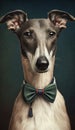 Realistic Portrait Illustration Art Showcasing Cute Greyhound wearing bow tie (Generative AI)