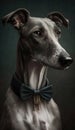 Realistic Portrait Illustration Art Showcasing Cute Greyhound wearing bow tie (Generative AI)