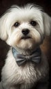 Realistic Portrait Illustration Art Showcasing Cute Maltese wearing bow tie (Generative AI)