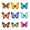 Realistic Portrayal Of Colorful Butterflies On White Background
