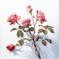 Realistic Portrayal Of Pink Roses On Branch: Editorial Illustrations