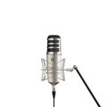 Realistic Professional microphone