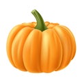 Realistic pumpkin illustration for autumn and Halloween