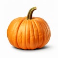 Realistic Pumpkin Photo With Isolated White Background