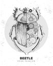 Realistic and punk style scarab beetle illustration. Beetle silhouette with gears. Royalty Free Stock Photo