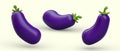 Realistic purple eggplants with shadows. Set of ripe vegetables in different positions