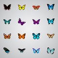 Realistic Purple Monarch, Bluewing, American Painted Lady And Other Vector Elements. Set Of Beauty Realistic Symbols