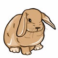 Realistic rabbit brown