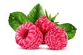 Realistic Raspberry Composition