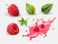 Realistic raspberry fruit with leaf and splash vector set on white background Royalty Free Stock Photo