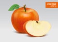 Realistic red apples vector illustration, icon. 3d whole and slice of apple Royalty Free Stock Photo