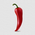 Realistic red chilli pepper icon isolated on transparent background. Design template of food closeup in vector. Royalty Free Stock Photo