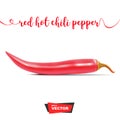 Realistic red hot chili pepper on white background Royalty Free Stock Photo