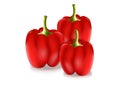 Realistic Red Pepper Vector Illustration. Three Red Peppers