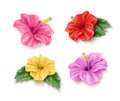 Vector red hibiscus realistic tropical flower set Royalty Free Stock Photo