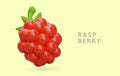 Realistic red raspberry with green tail. Bright sweet berry with shadows and reflections