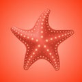 Realistic red starfish, icon