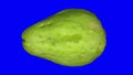 Rotating chayote on blue background looping