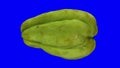 Rotating Chayote on Blue Background 03A Looping