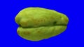 Rotating Chayote on Blue Background 03B Looping