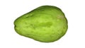 Rotating chayote on white background looping