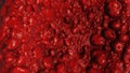 Realistic rendering of bacteria - in red colors Royalty Free Stock Photo