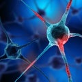 Realistic rendering of neurone - on the blue background