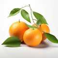 Realistic Renderings Of Vibrant Tangerines: A Classic Japanese Inspired Advertisement